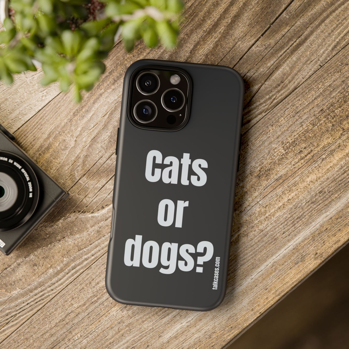 Cats or dogs?