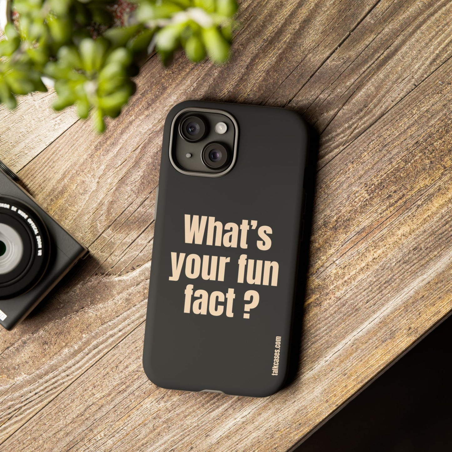 What's your fun fact?