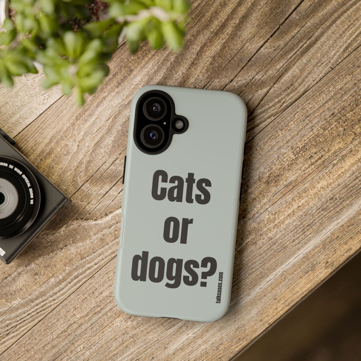 Cats or dogs?