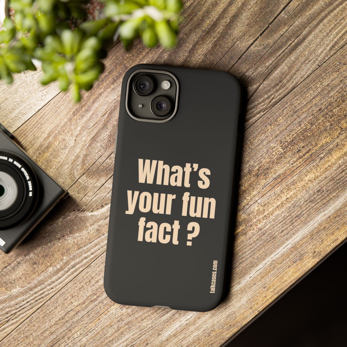 What's your fun fact?