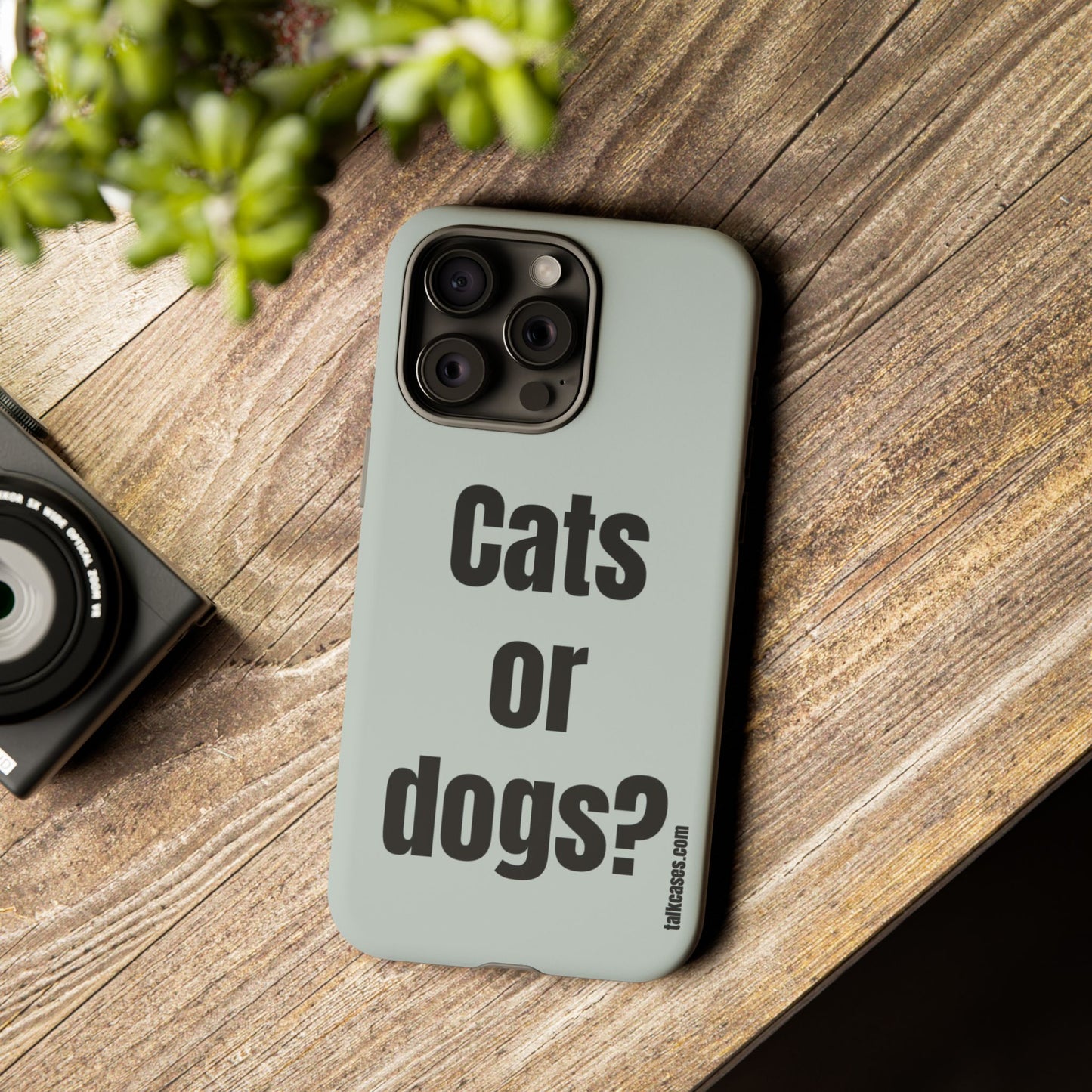 Cats or dogs?