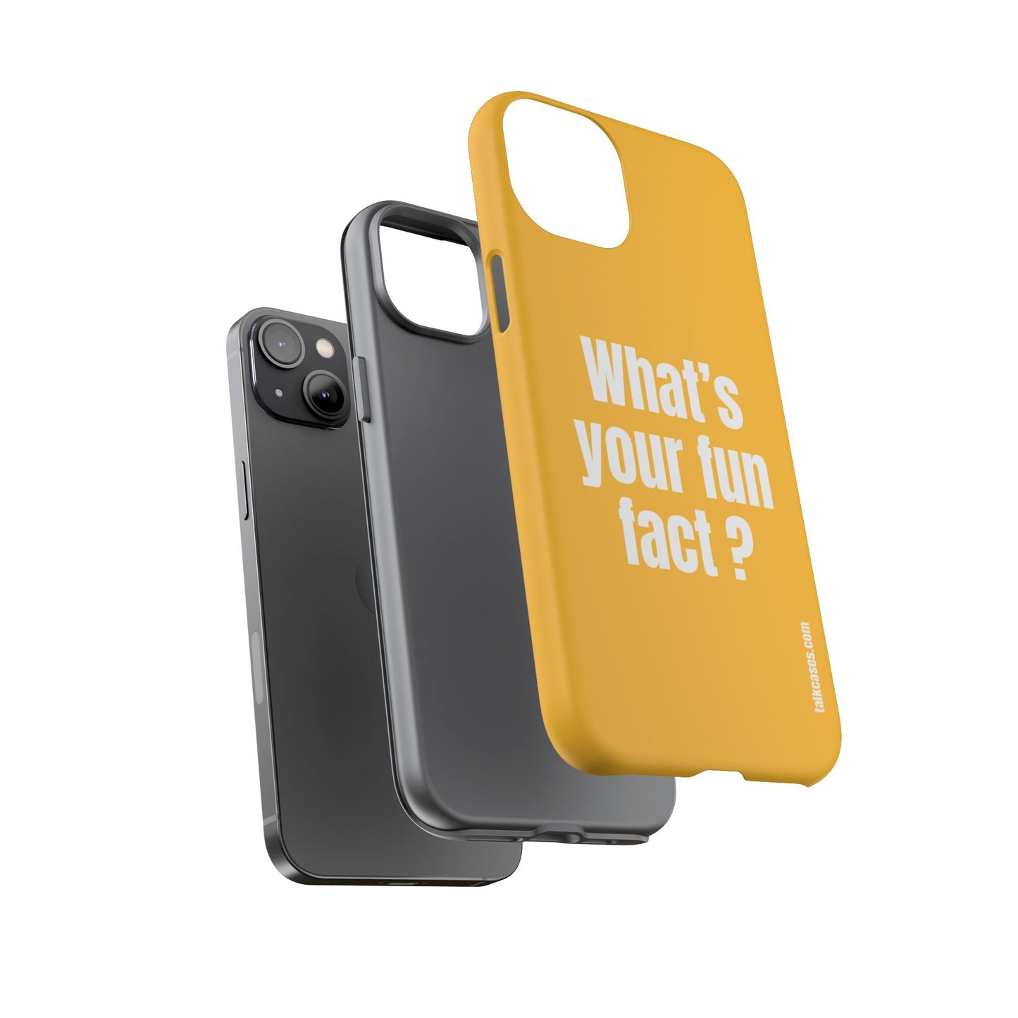 What's your fun fact?