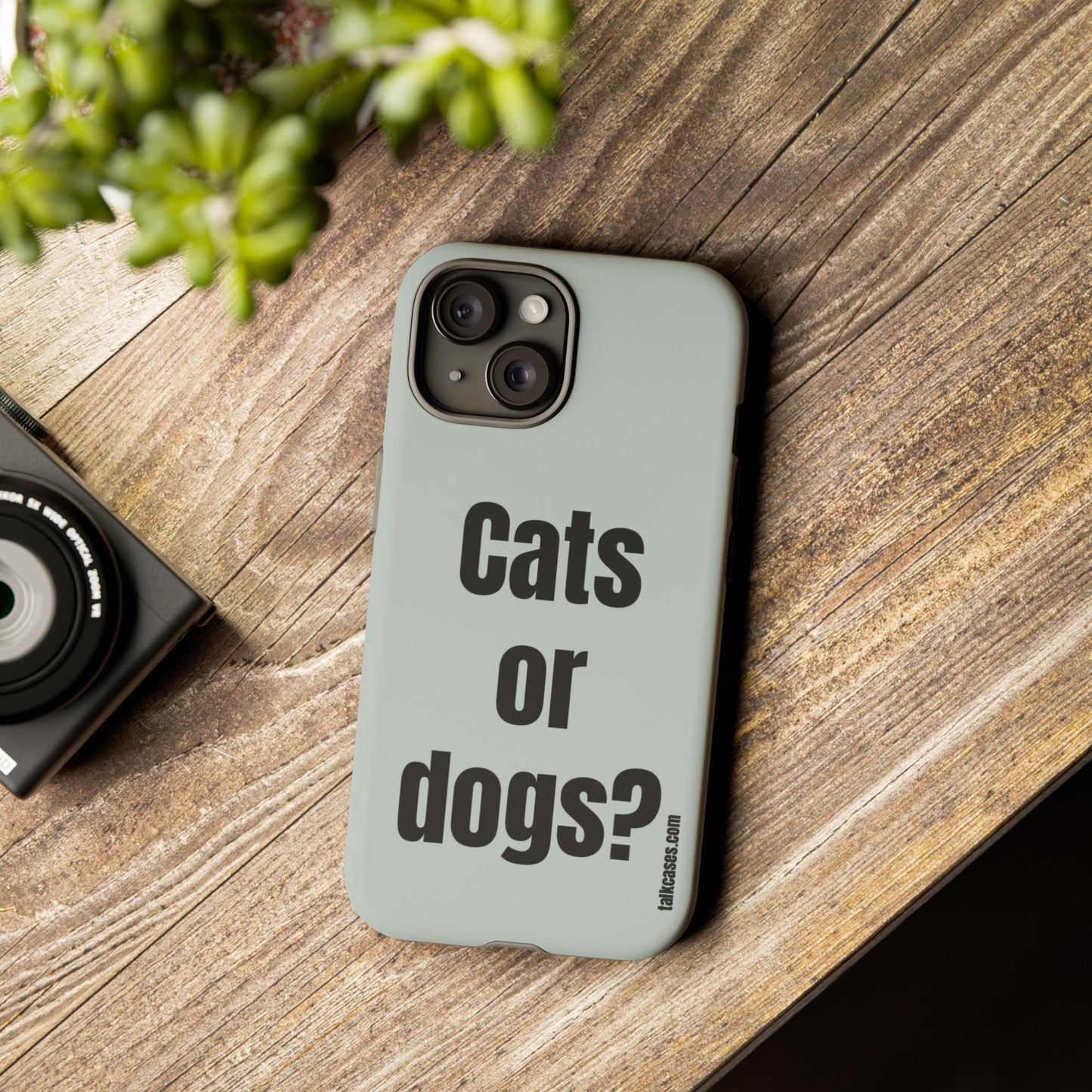 Cats or dogs?